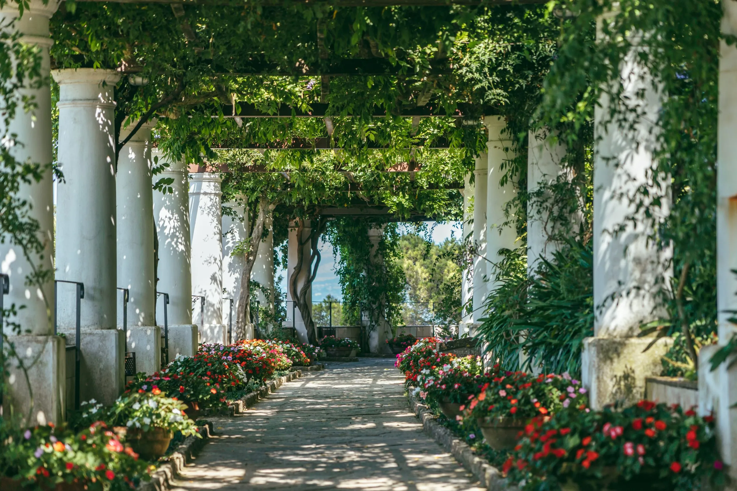 Schöne florale Passage mit Säulen und Pflanzen über Kopf im Garten in Anacapri, Insel Capri, Italien